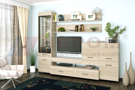 Гостиная-Стенка Камелия №5 (В-2172 х Ш-2700 х Г-452 мм)