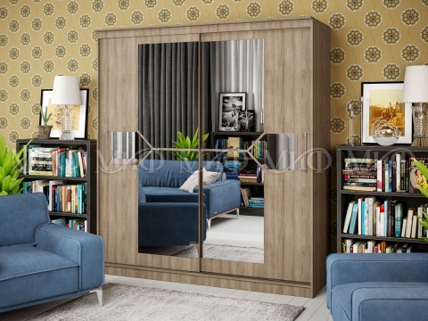 Шкаф-Купе Элвис (Ш-1500/1700/2000×В-2200хГ-650 мм)/Разные Цвета 
