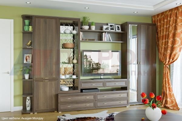 Гостиная-Стенка Карина-20 (В-2224 х Ш-3523 х Г-448 мм)