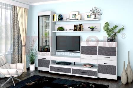 Гостиная-Стенка Камелия №5 (В-2172 х Ш-2700 х Г-452 мм)